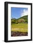 Raiatea-Styve-Framed Photographic Print