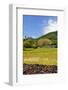 Raiatea-Styve-Framed Photographic Print