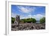 Raiatea-Styve-Framed Photographic Print