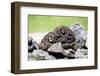 Raiatea-Styve-Framed Photographic Print