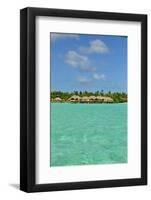 Raiatea-Styve-Framed Photographic Print