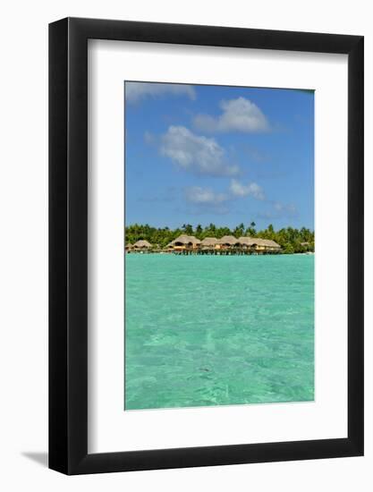 Raiatea-Styve-Framed Photographic Print