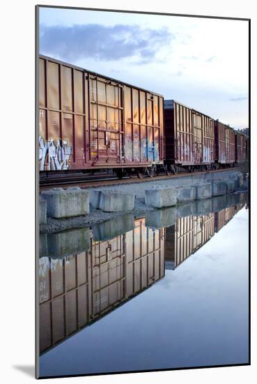 Rail Art Reflections-Douglas Taylor-Mounted Photographic Print