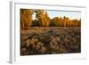 Rail fence across sage brush in Grand Teton National Park.-Larry Ditto-Framed Photographic Print