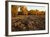 Rail fence across sage brush in Grand Teton National Park.-Larry Ditto-Framed Photographic Print