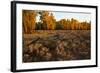 Rail fence across sage brush in Grand Teton National Park.-Larry Ditto-Framed Photographic Print