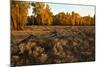 Rail fence across sage brush in Grand Teton National Park.-Larry Ditto-Mounted Photographic Print