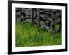 Rail Fence and Buttercups, Pioneer Homestead, Great Smoky Mountains National Park, Tennessee, USA-Adam Jones-Framed Photographic Print