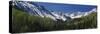 Rail Fence on a Landscape, Dallas Divide, Sneffels Range, San Juan Mountains, Colorado, USA-null-Stretched Canvas