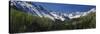 Rail Fence on a Landscape, Dallas Divide, Sneffels Range, San Juan Mountains, Colorado, USA-null-Stretched Canvas