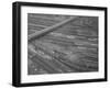 Rail Road Cars During Rail Strike-Joe Scherschel-Framed Photographic Print