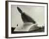 Rail Zeppelin Locomotive-null-Framed Photographic Print