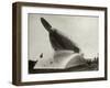 Rail Zeppelin Locomotive-null-Framed Photographic Print