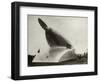 Rail Zeppelin Locomotive-null-Framed Photographic Print