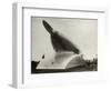 Rail Zeppelin Locomotive-null-Framed Photographic Print