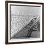 Railing at Brighton Pier with Sun Lounge, East Sussex-John Gay-Framed Giclee Print