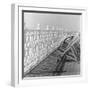 Railing at Brighton Pier with Sun Lounge, East Sussex-John Gay-Framed Giclee Print