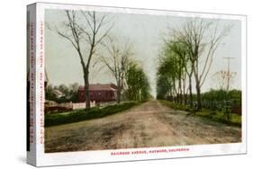 Railroad Avenue, Hayward, California, 1905-null-Stretched Canvas