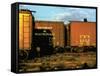 Railroad Box Cars Idle in Train Yard, Lit by Early Morning Sunlight-Walker Evans-Framed Stretched Canvas