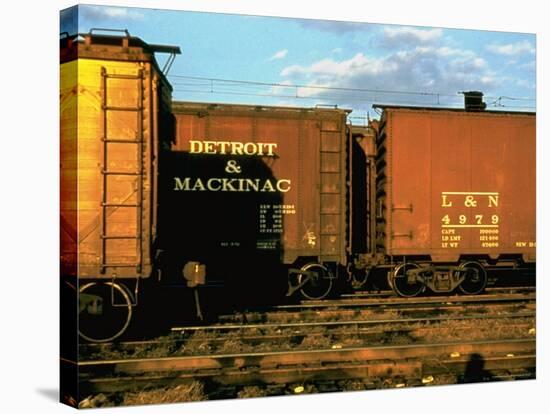 Railroad Box Cars Idle in Train Yard, Lit by Early Morning Sunlight-Walker Evans-Stretched Canvas