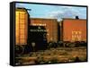 Railroad Box Cars Idle in Train Yard, Lit by Early Morning Sunlight-Walker Evans-Framed Stretched Canvas