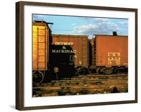 Railroad Box Cars Idle in Train Yard, Lit by Early Morning Sunlight-Walker Evans-Framed Photographic Print