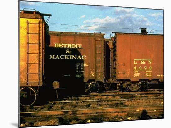 Railroad Box Cars Idle in Train Yard, Lit by Early Morning Sunlight-Walker Evans-Mounted Photographic Print