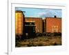 Railroad Box Cars Idle in Train Yard, Lit by Early Morning Sunlight-Walker Evans-Framed Photographic Print