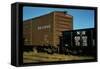 Railroad Box Cars-Walker Evans-Framed Stretched Canvas