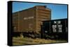 Railroad Box Cars-Walker Evans-Stretched Canvas