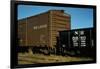 Railroad Box Cars-Walker Evans-Framed Photographic Print