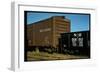 Railroad Box Cars-Walker Evans-Framed Photographic Print