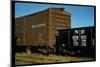 Railroad Box Cars-Walker Evans-Mounted Photographic Print