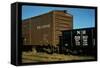 Railroad Box Cars-Walker Evans-Framed Stretched Canvas