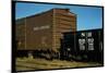 Railroad Box Cars-Walker Evans-Mounted Photographic Print