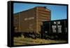 Railroad Box Cars-Walker Evans-Framed Stretched Canvas