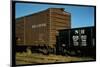 Railroad Box Cars-Walker Evans-Mounted Photographic Print