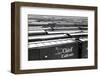 Railroad Boxcars in Rail Yard, Chicago, Illinois, USA, Ca. 1950-null-Framed Photographic Print