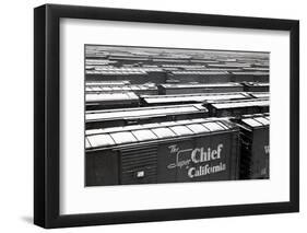 Railroad Boxcars in Rail Yard, Chicago, Illinois, USA, Ca. 1950-null-Framed Photographic Print