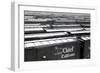 Railroad Boxcars in Rail Yard, Chicago, Illinois, USA, Ca. 1950-null-Framed Photographic Print