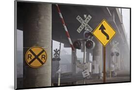 Railroad Crossing-David Lorenz Winston-Mounted Art Print