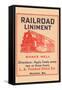 Railroad Liniment-null-Framed Stretched Canvas