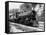 Railroad Locomotive 1443, Circa 1909-Asahel Curtis-Framed Stretched Canvas