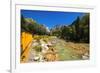 Railroad on the Animas River, San Juan National Forest, Colorado, USA-Russ Bishop-Framed Premium Photographic Print