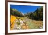 Railroad on the Animas River, San Juan National Forest, Colorado, USA-Russ Bishop-Framed Premium Photographic Print