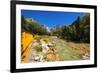 Railroad on the Animas River, San Juan National Forest, Colorado, USA-Russ Bishop-Framed Premium Photographic Print