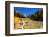 Railroad on the Animas River, San Juan National Forest, Colorado, USA-Russ Bishop-Framed Photographic Print