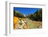 Railroad on the Animas River, San Juan National Forest, Colorado, USA-Russ Bishop-Framed Photographic Print