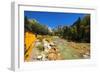 Railroad on the Animas River, San Juan National Forest, Colorado, USA-Russ Bishop-Framed Photographic Print