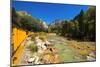 Railroad on the Animas River, San Juan National Forest, Colorado, USA-Russ Bishop-Mounted Photographic Print